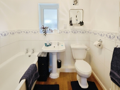 Picture 11